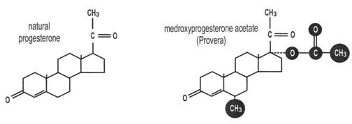 Bio-Identical Hormone Therapy
